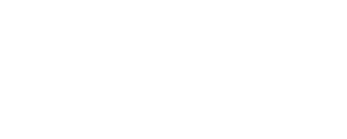 Pulse Marketing de Performance